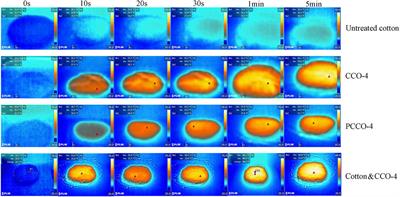 Investigating the Performance of Solar Steam Generation Using a Carbonized Cotton-Based Evaporator